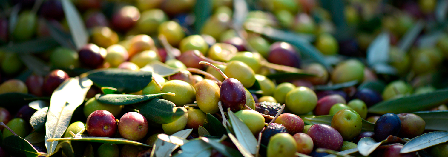 NuestrosAceites